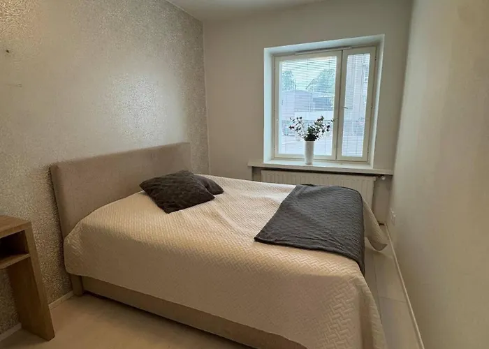 Viihtyisae Kolmio Ydinkeskustassa 公寓 劳马